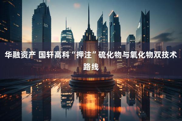 华融资产 国轩高科“押注”硫化物与氧化物双技术路线