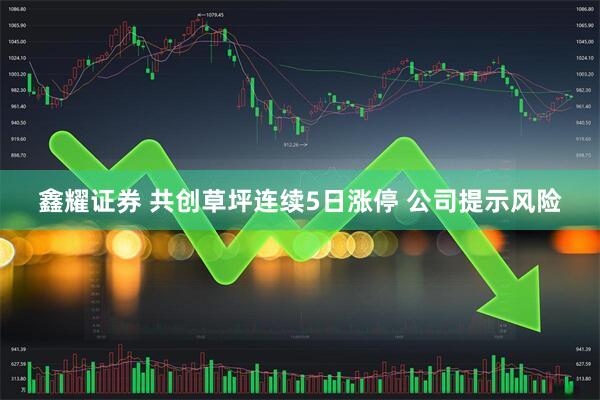 鑫耀证券 共创草坪连续5日涨停 公司提示风险