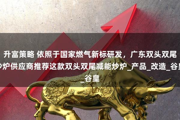 升富策略 依照于国家燃气新标研发，广东双头双尾炒炉供应商推荐这款双头双尾减能炒炉_产品_改造_谷皇